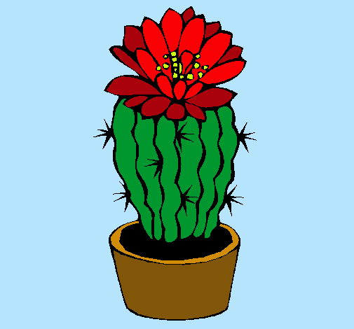 Cactus con flor