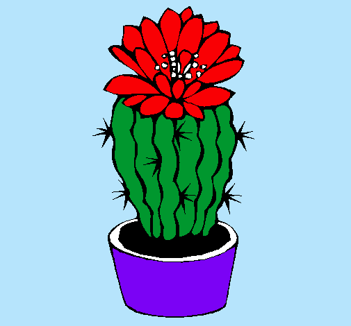 Cactus con flor