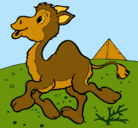 Dibujo Camello pintado por cecilia