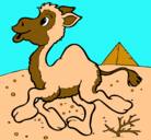 Dibujo Camello pintado por MARCOS