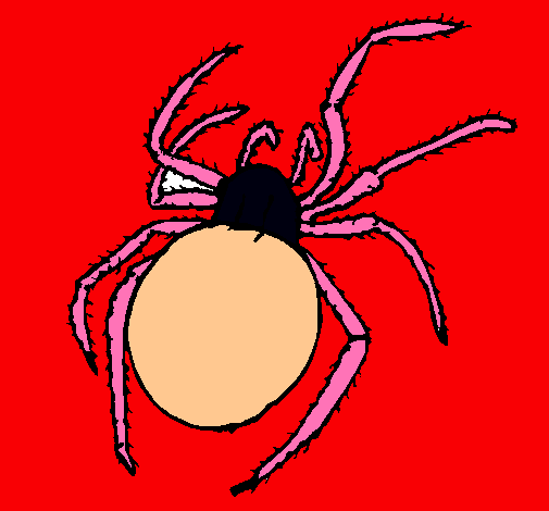 Araña venenosa