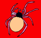 Dibujo Araña venenosa pintado por jerardo