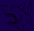 Dibujo Tiburón pintado por rooooooooddrriiggoo