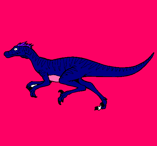 Velociraptor