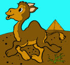 Dibujo Camello pintado por natasha