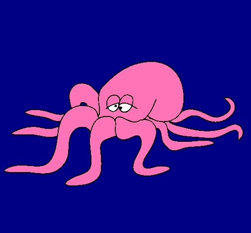 Pulpo