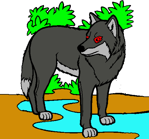 Lobo