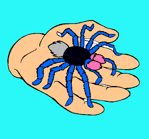 Tarántula