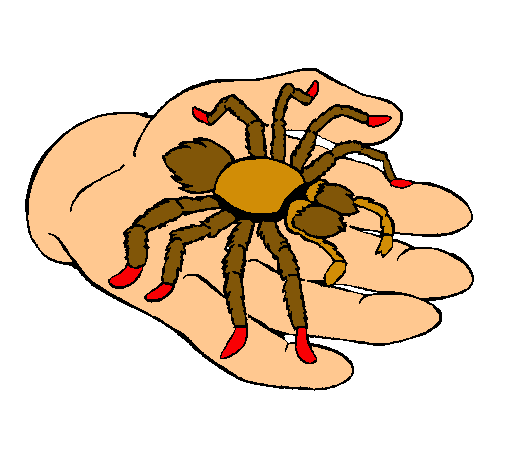 Tarántula