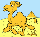 Dibujo Camello pintado por gino