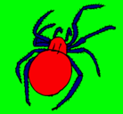 Dibujo Araña venenosa pintado por alan