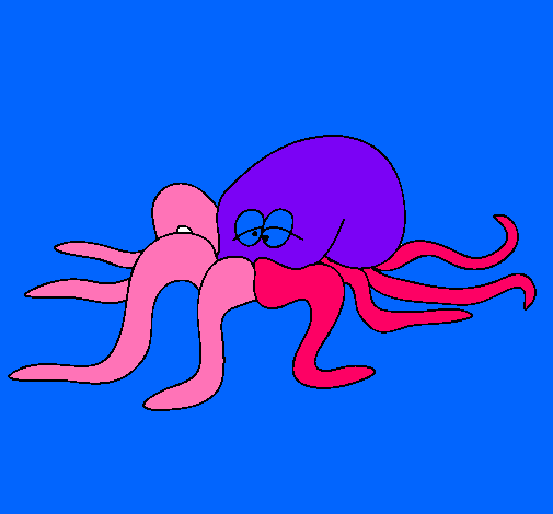 Pulpo