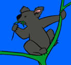 Dibujo Koala pintado por fran