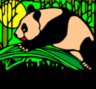 Dibujo Oso panda comiendo pintado por TAYS