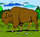 Dibujo Búfalo  pintado por TAYS