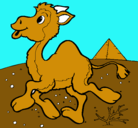 Dibujo Camello pintado por mabel