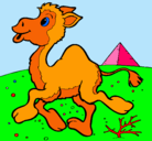 Dibujo Camello pintado por ARSCUSC