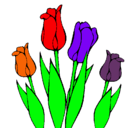 Dibujo Tulipanes pintado por annanannat