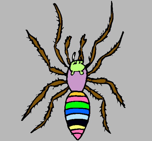 Araña tigre