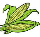 Dibujo Mazorca de maíz pintado por nicole