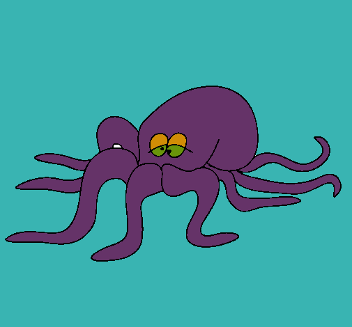 Pulpo