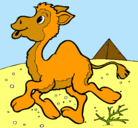 Dibujo Camello pintado por Huguete
