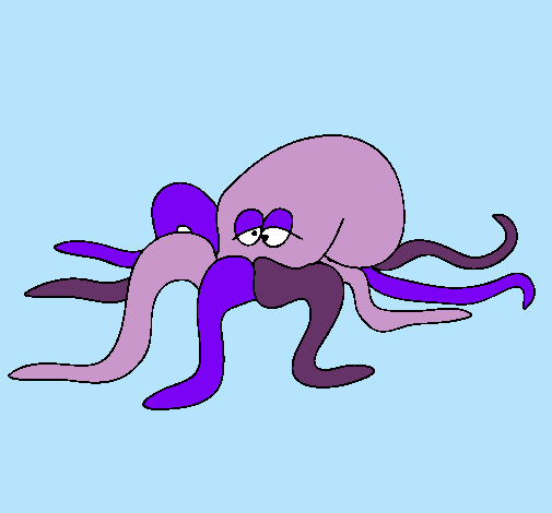 Pulpo