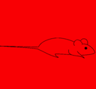Dibujo Rata pintado por cacachito