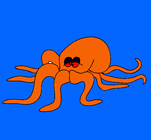 Pulpo