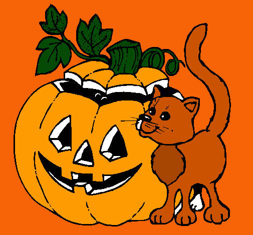 Calabaza y gato