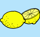 Dibujo limón pintado por yo