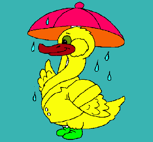 Pato bajo la lluvia