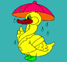 Dibujo Pato bajo la lluvia pintado por claudiarortegon