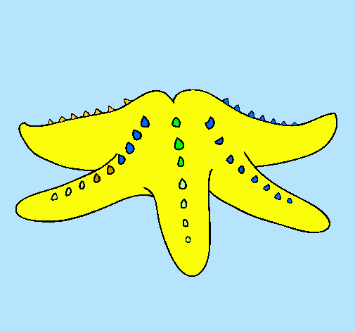 Estrella de mar