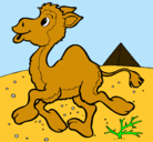 Dibujo Camello pintado por salvador