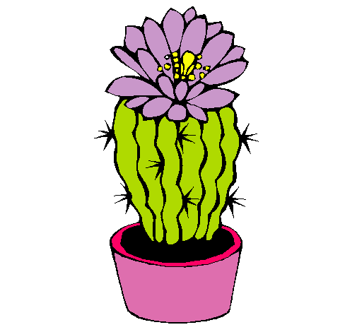 Cactus con flor