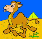 Dibujo Camello pintado por 833n