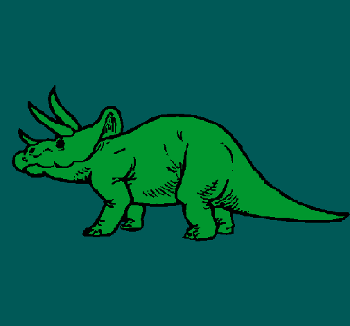 Triceratops