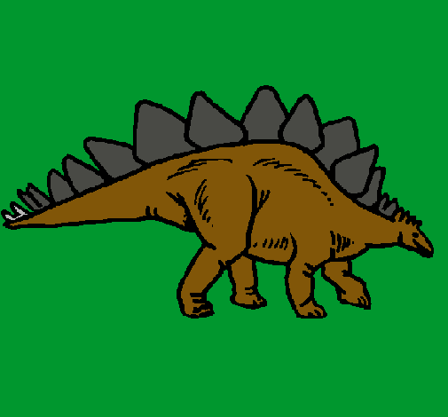 Stegosaurus