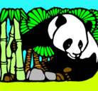 Dibujo Oso panda y bambú pintado por pandas