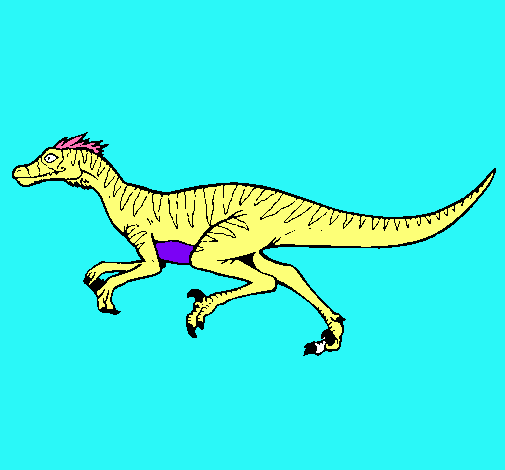 Velociraptor