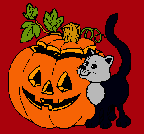 Calabaza y gato