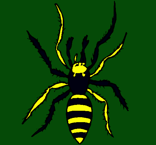 Araña tigre