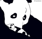 Dibujo Oso panda con su cria pintado por cata