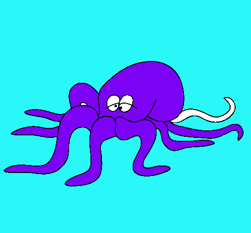 Pulpo