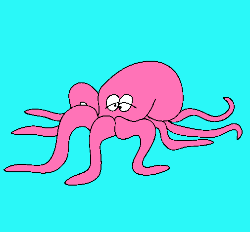 Pulpo