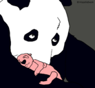 Dibujo Oso panda con su cria pintado por karen