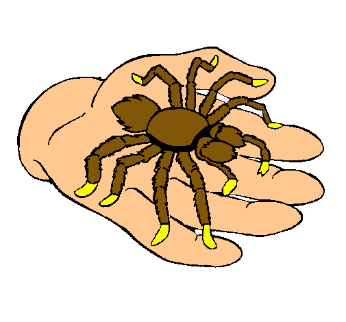 Tarántula