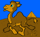 Dibujo Camello pintado por natalia