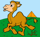 Dibujo Camello pintado por adrian